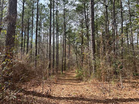 91 Acres of Recreational Land & Farm for Sale in Gloster, Mississippi