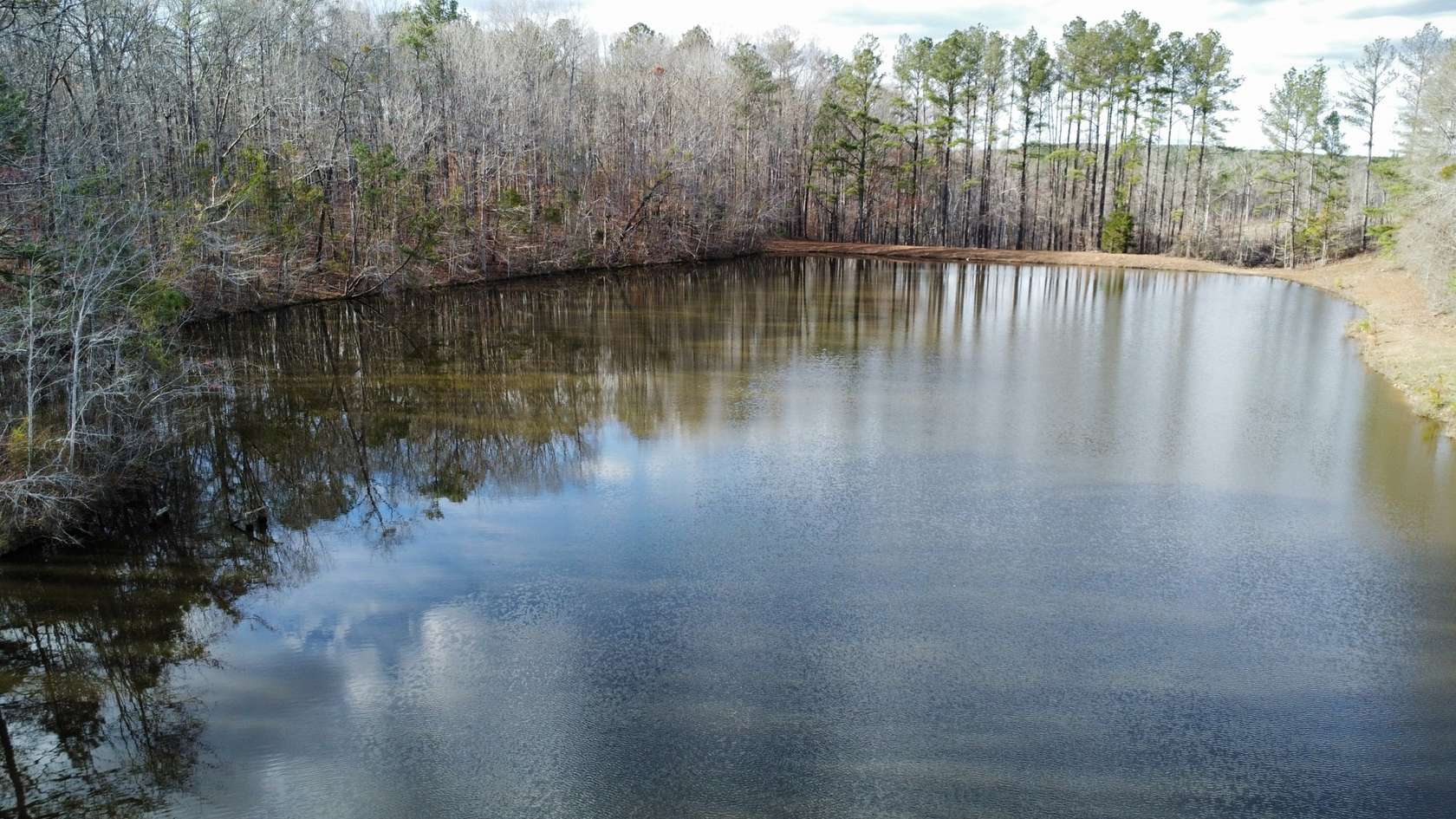 81 Acres of Improved Land for Sale in Roanoke, Alabama