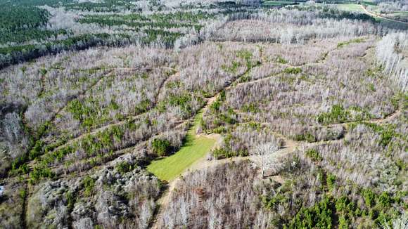 120 Acres of Improved Land for Sale in Roanoke, Alabama