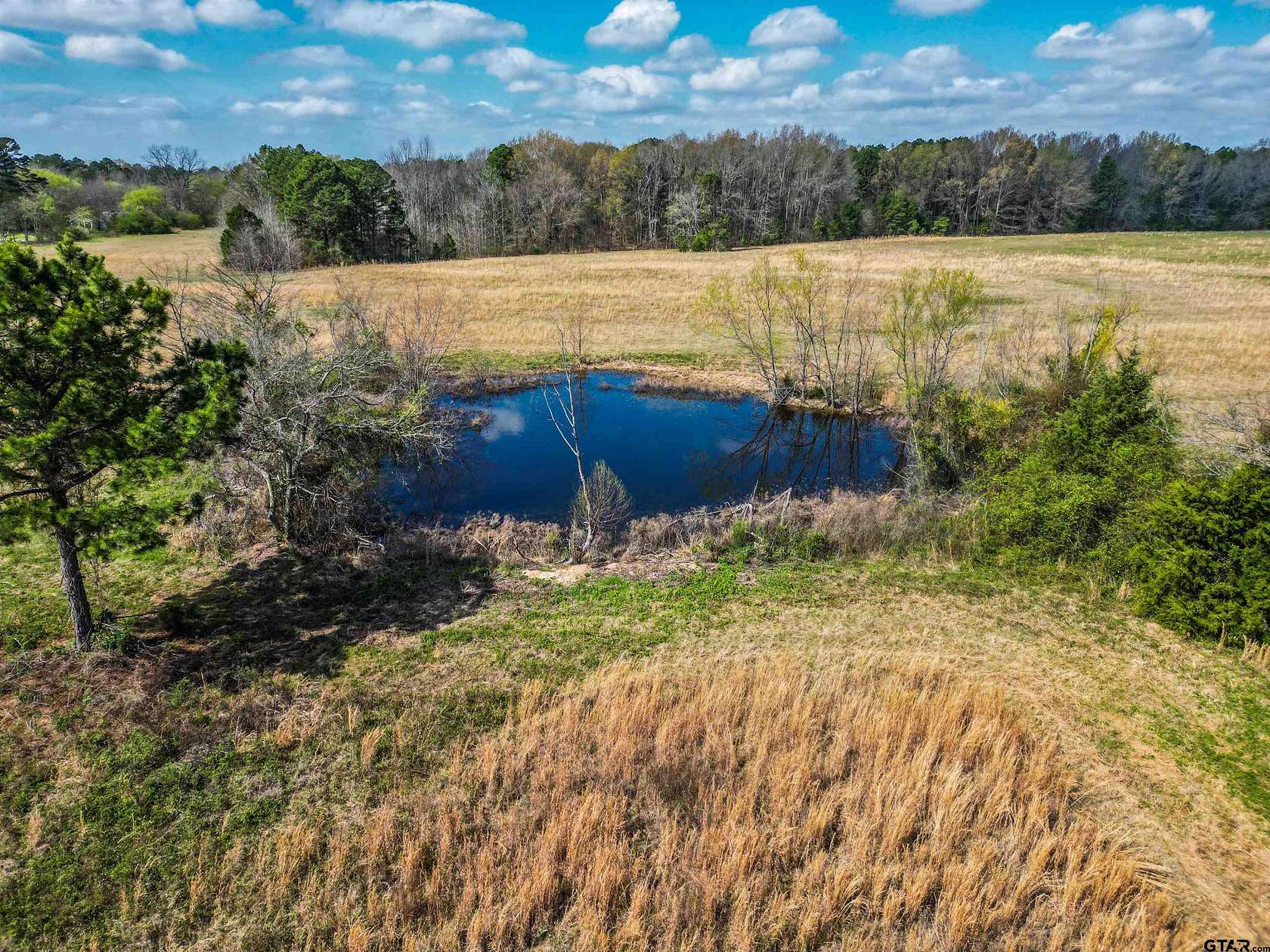 9.3 Acres of Residential Land for Sale in Mount Pleasant, Texas