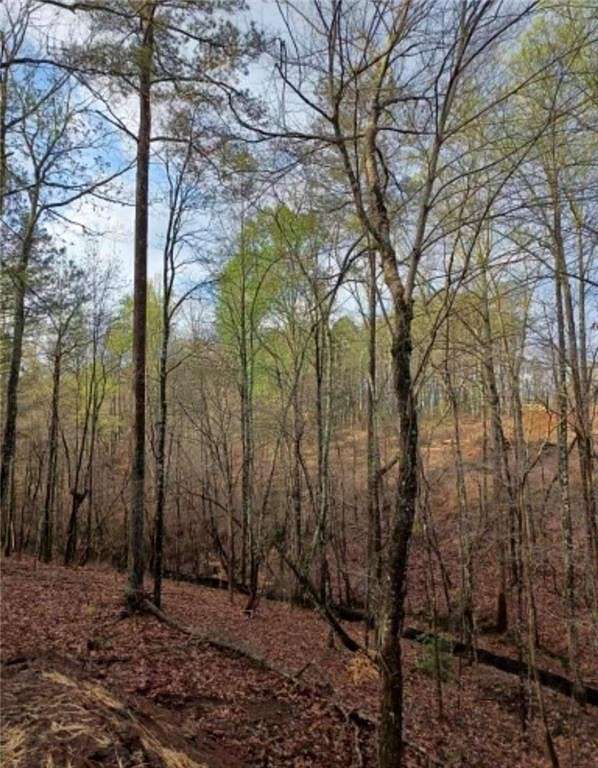 2.7 Acres of Residential Land for Sale in Canton, Georgia