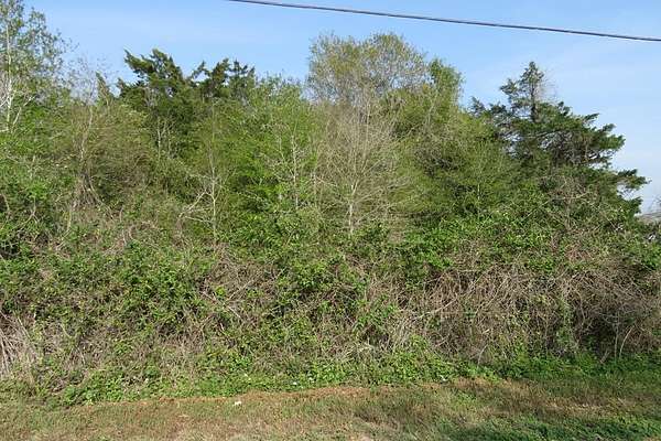 0.99 Acres of Residential Land for Sale in Palacios, Texas