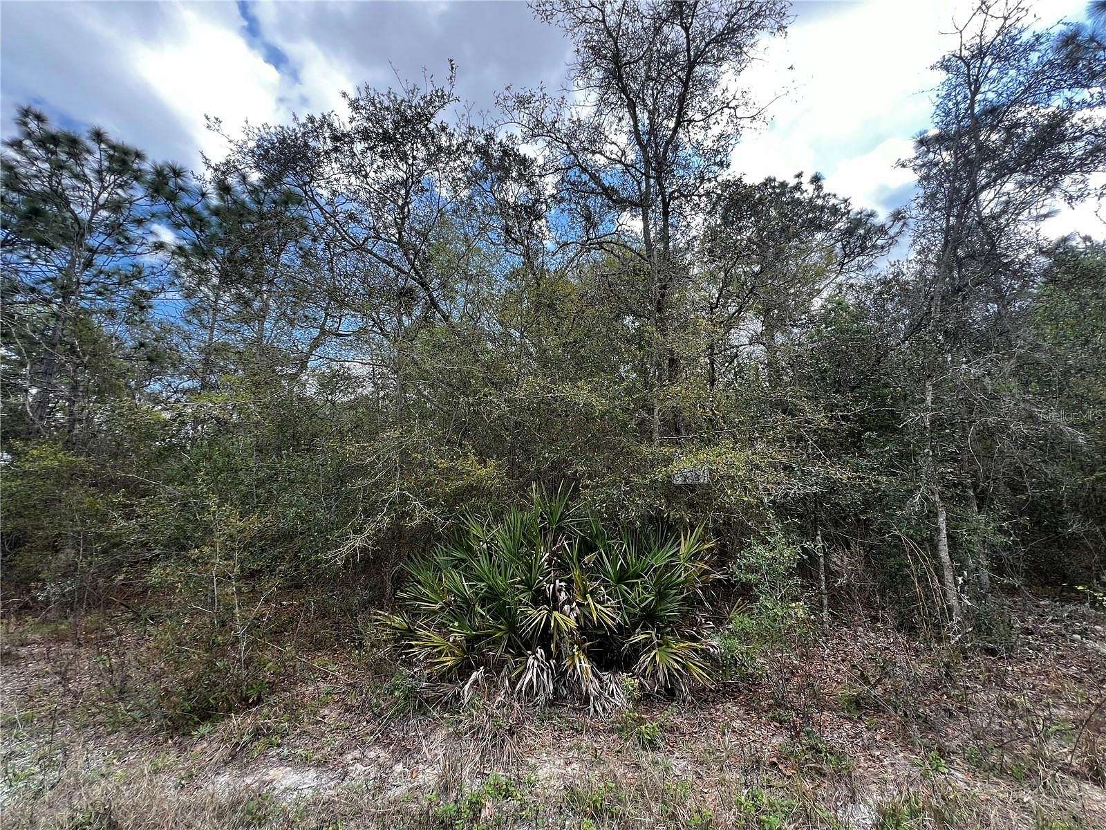 0.6 Acres of Residential Land for Sale in Brooksville, Florida