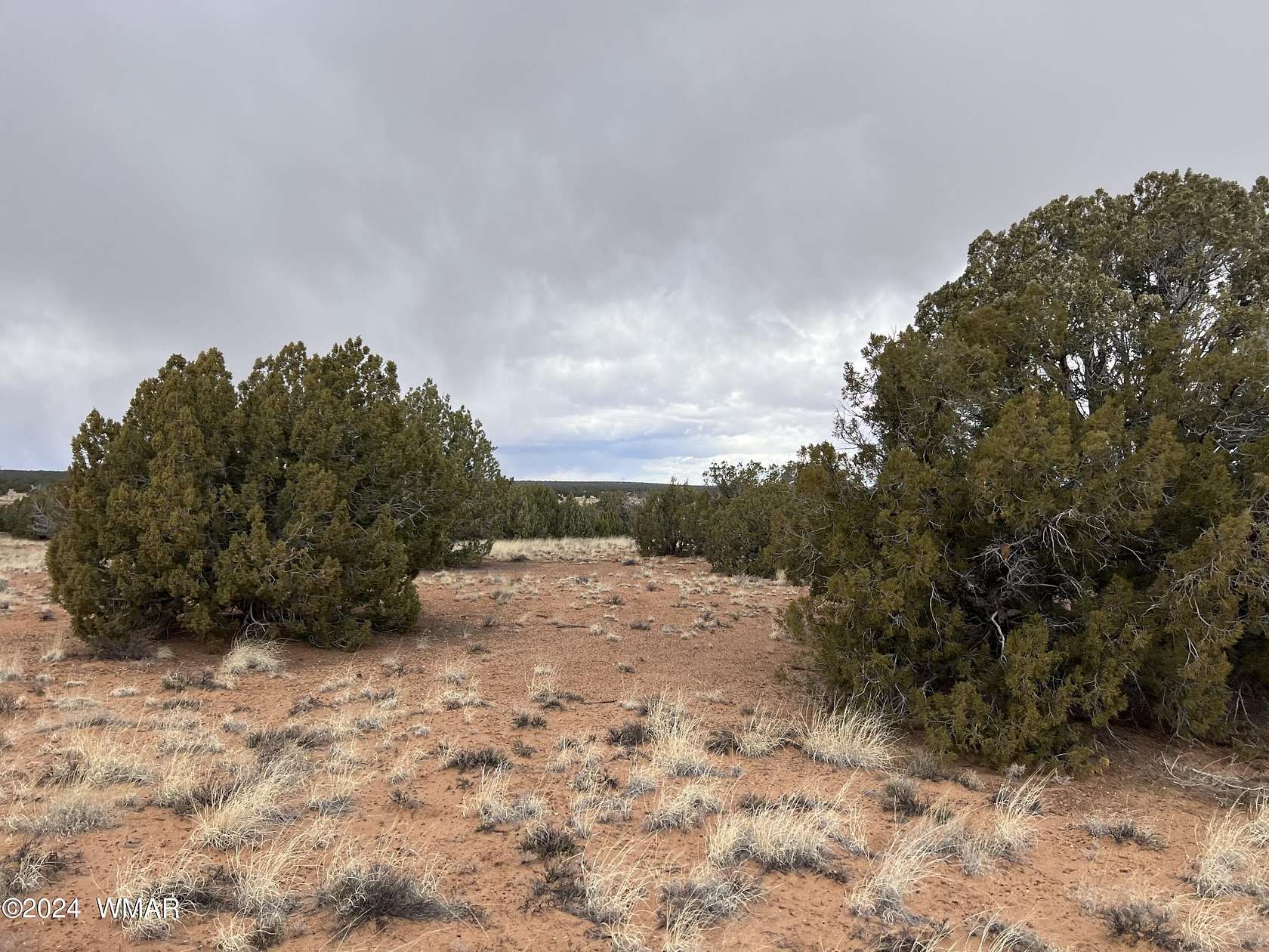 112 Acres of Agricultural Land for Sale in Concho, Arizona
