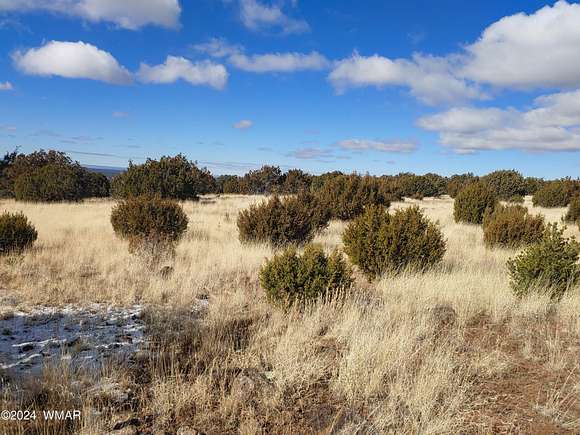 1.51 Acres of Residential Land for Sale in Concho, Arizona