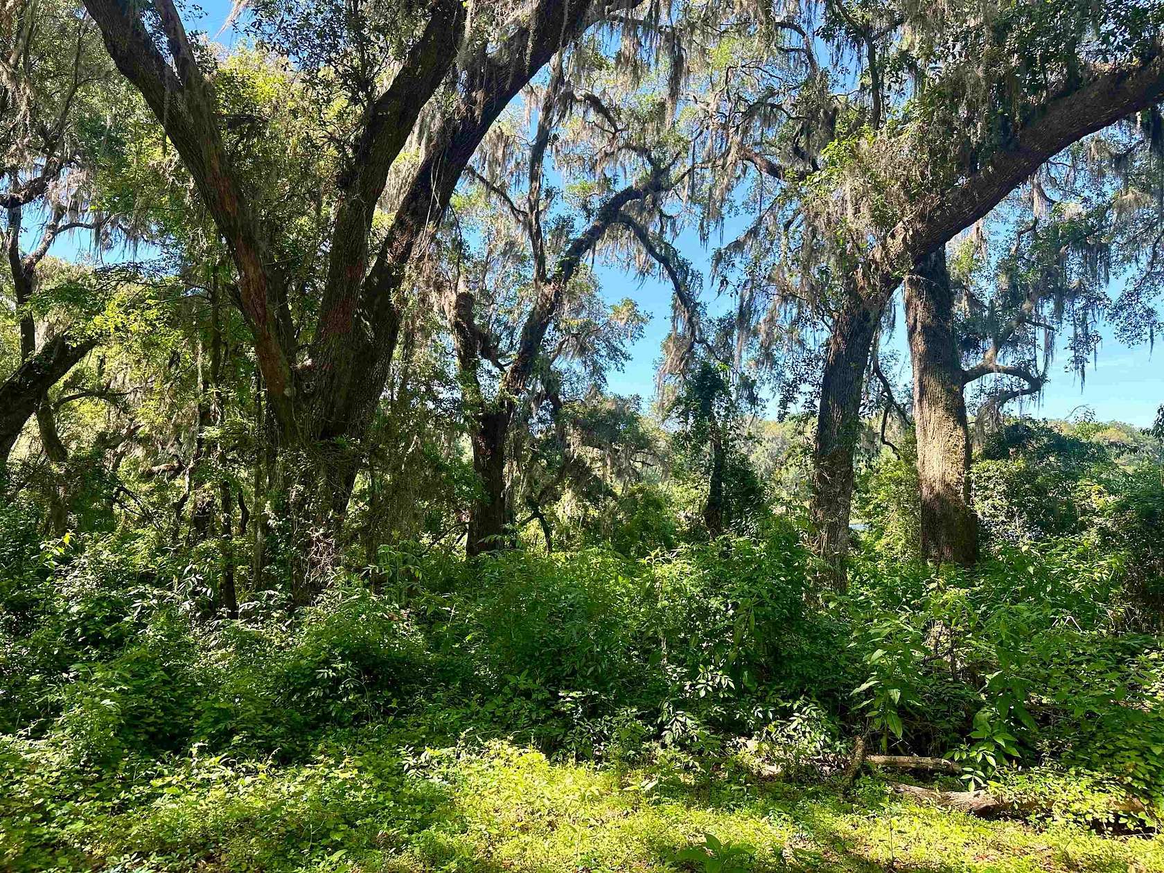 3.3 Acres of Residential Land for Sale in Madison, Florida