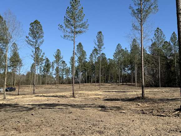 20.1 Acres of Land for Sale in Couchton, South Carolina