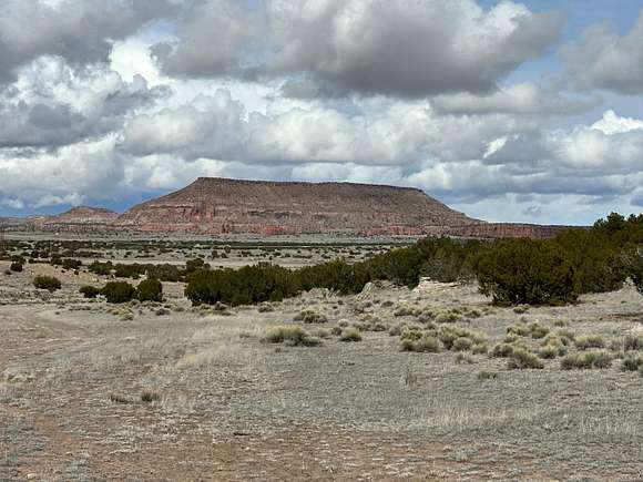 242 Acres of Recreational Land for Sale in Prewitt, New Mexico