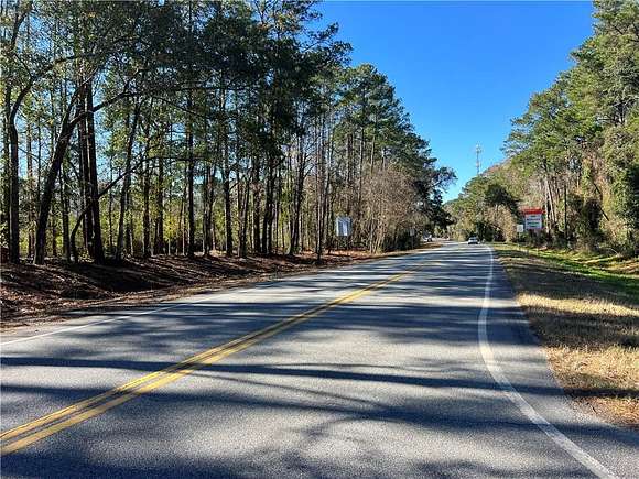 73.8 Acres of Land for Sale in Brunswick, Georgia