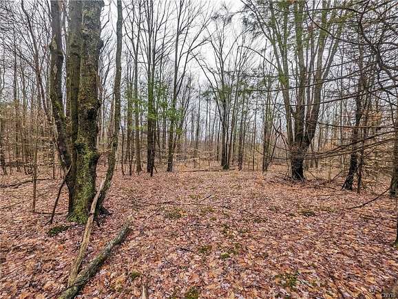 20 Acres of Recreational Land for Sale in Corning, New York