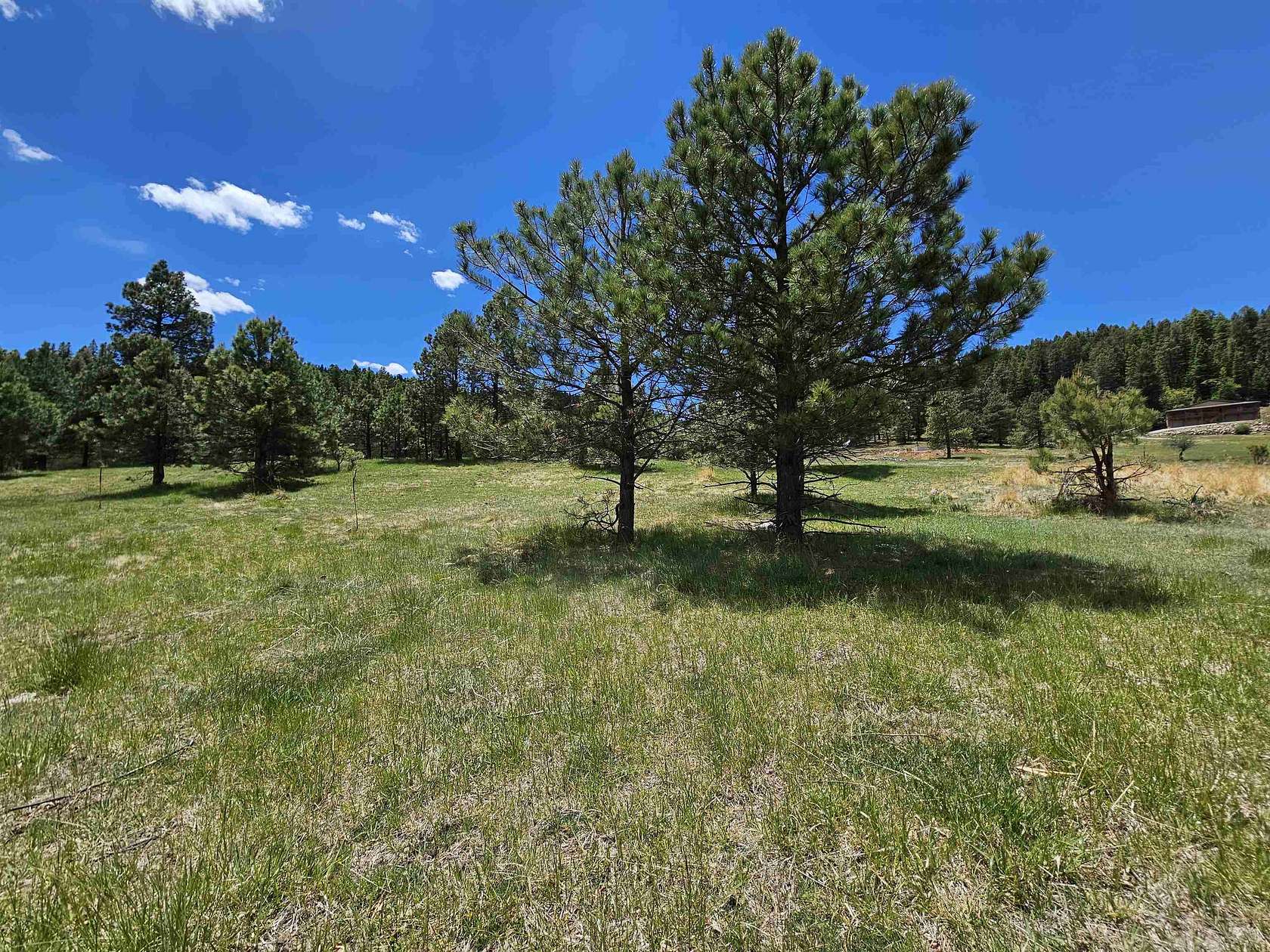 1.1 Acres of Residential Land for Sale in Cloudcroft, New Mexico