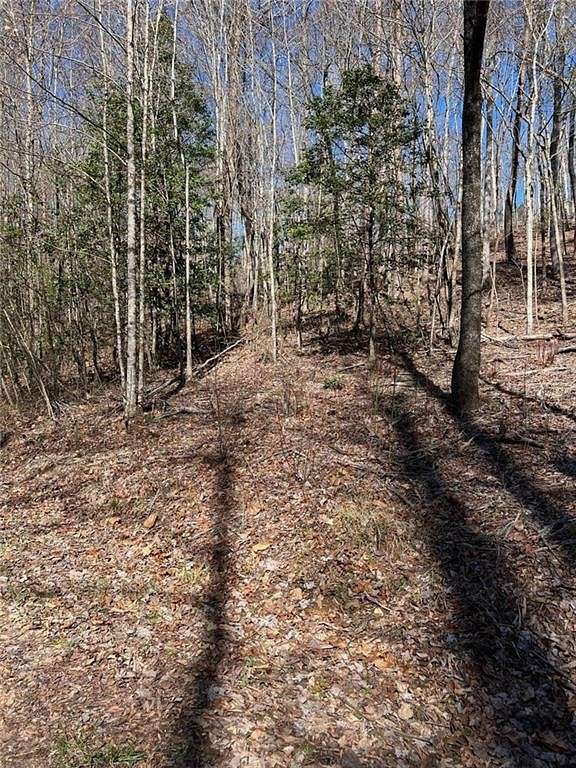 3.9 Acres of Residential Land for Sale in Blue Ridge, Georgia