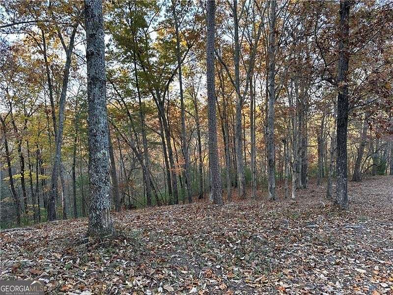 1.1 Acres of Residential Land for Sale in Ranger, Georgia