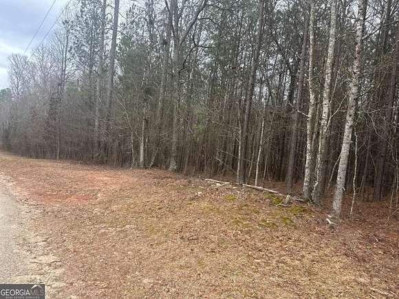 8.8 Acres of Residential Land for Sale in Douglasville, Georgia