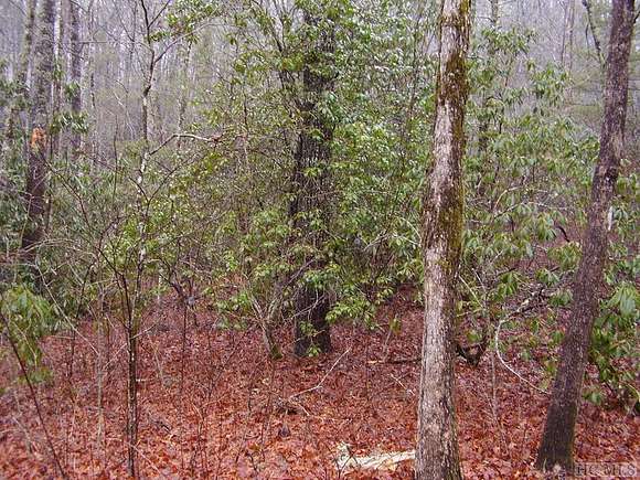 1 Acre of Land for Sale in Cashiers, North Carolina