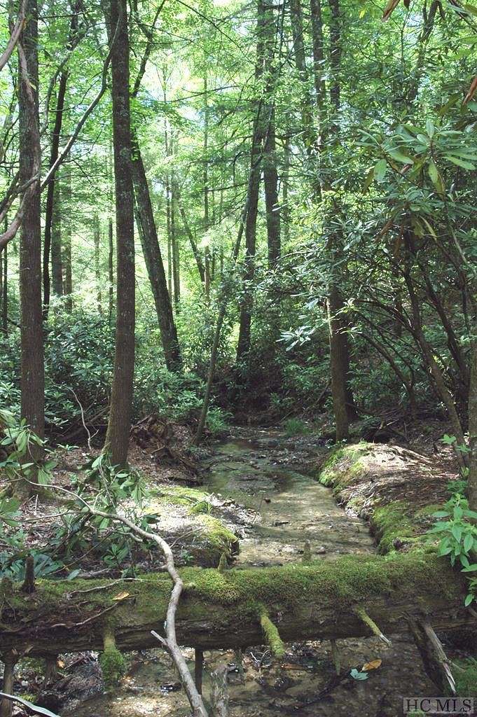 1.4 Acres of Residential Land for Sale in Cashiers, North Carolina