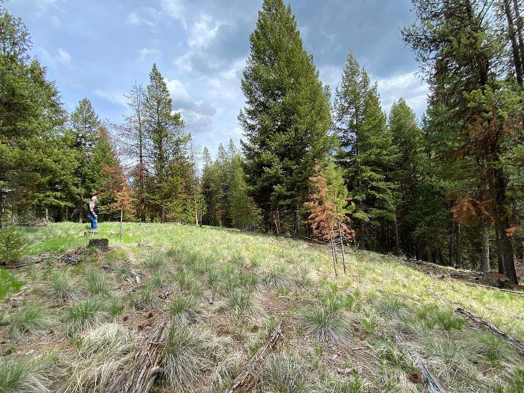 10 Acres of Residential Land for Sale in Marion, Montana