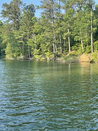 1.3 Acres of Residential Land for Sale in Double Springs, Alabama