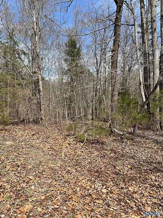 1.34 Acres of Residential Land for Sale in Guntersville, Alabama