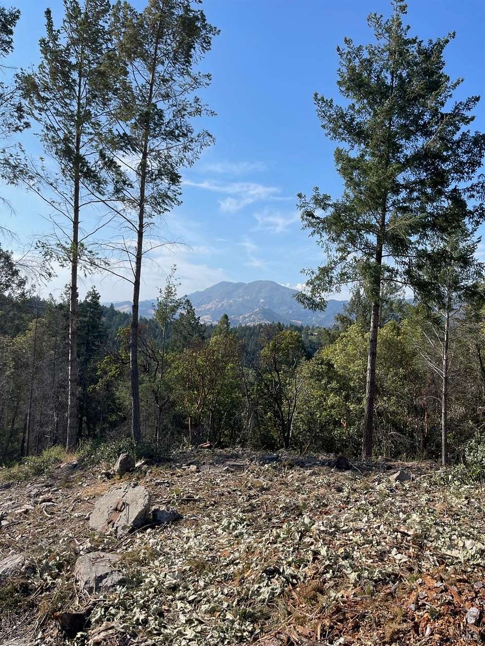 30 Acres of Agricultural Land for Sale in Calistoga, California