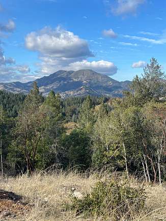 30 Acres of Agricultural Land for Sale in Calistoga, California