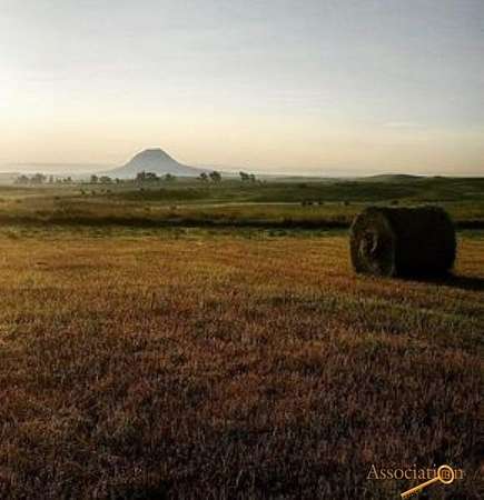 40 Acres of Land for Sale in Whitewood, South Dakota