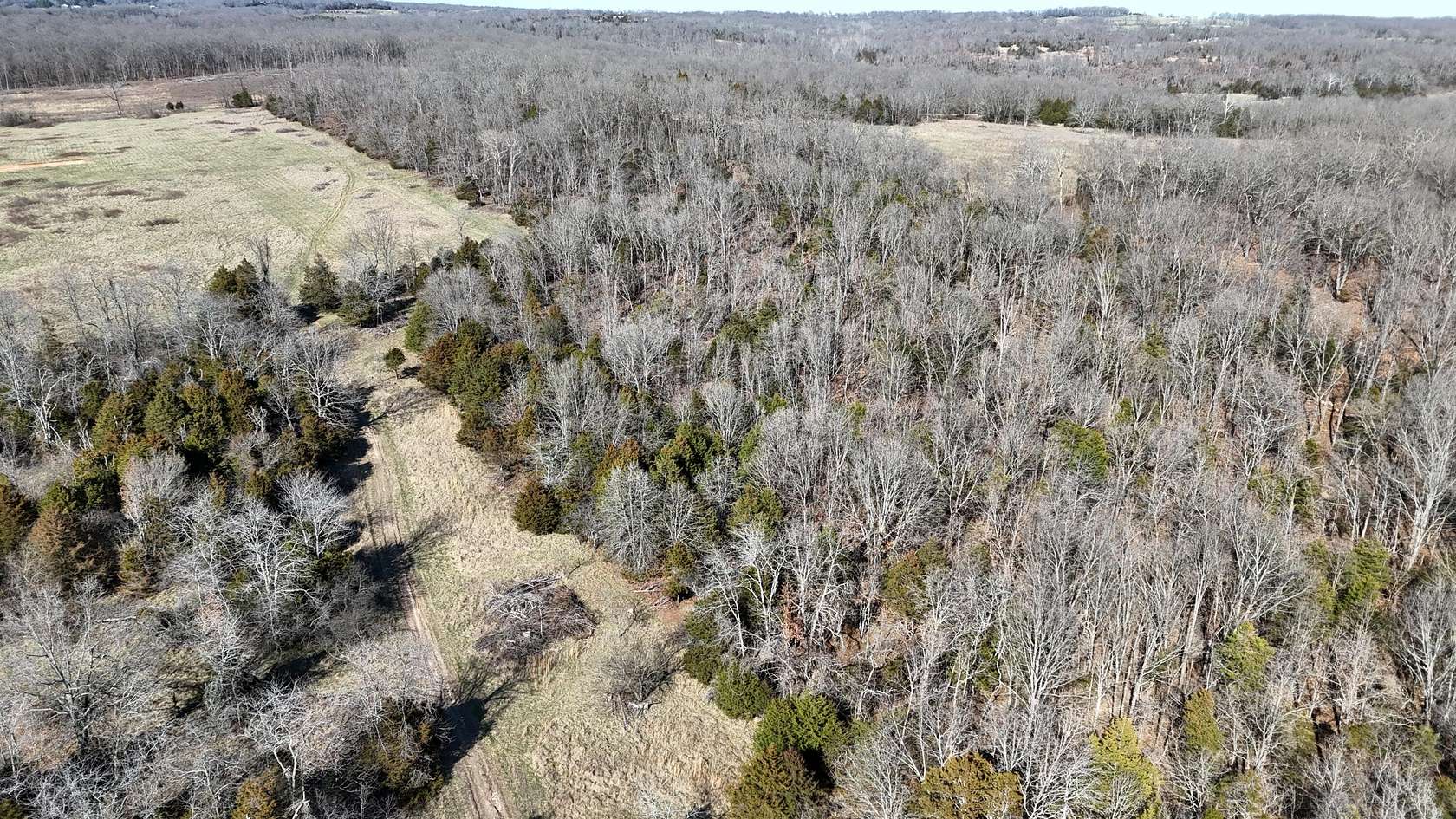 7.5 Acres of Residential Land for Sale in Hartville, Missouri