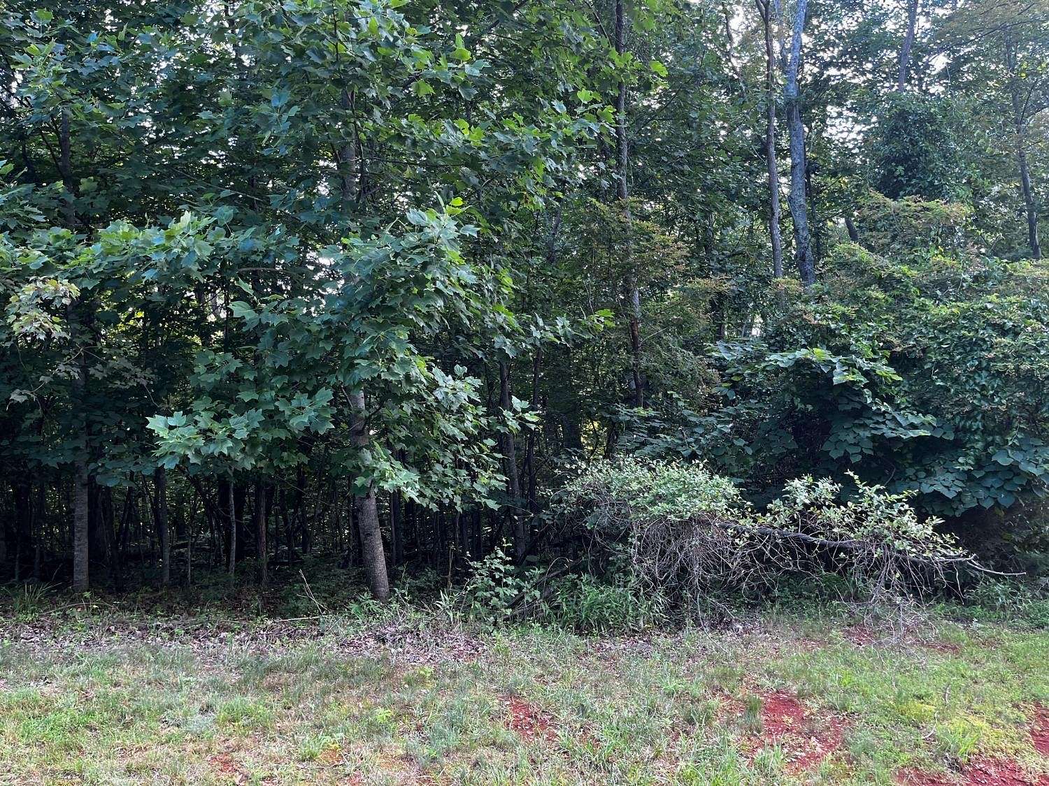 1.9 Acres of Residential Land for Sale in Lynch Station, Virginia