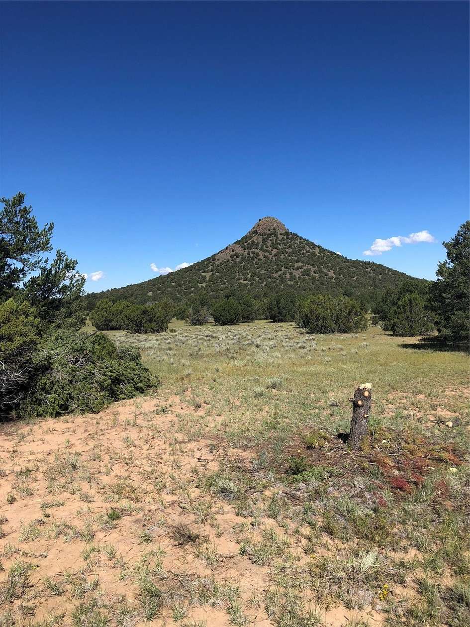 45.6 Acres of Agricultural Land for Sale in Quemado, New Mexico