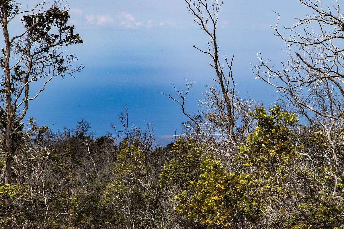 1 Acre of Residential Land for Sale in Hawaiian Ocean View, Hawaii