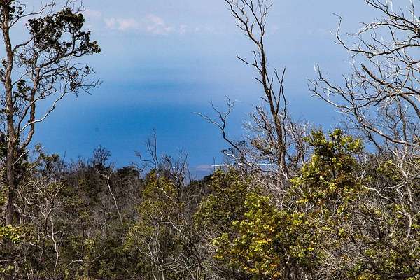 1 Acre of Residential Land for Sale in Hawaiian Ocean View, Hawaii