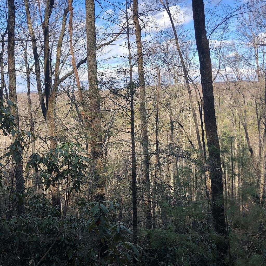 3.3 Acres of Residential Land for Sale in Tellico Plains, Tennessee