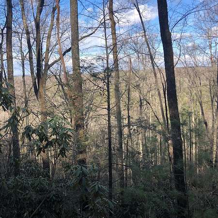 3.3 Acres of Residential Land for Sale in Tellico Plains, Tennessee
