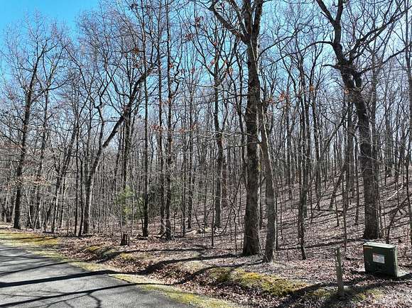 3.6 Acres of Residential Land for Sale in Ellijay, Georgia