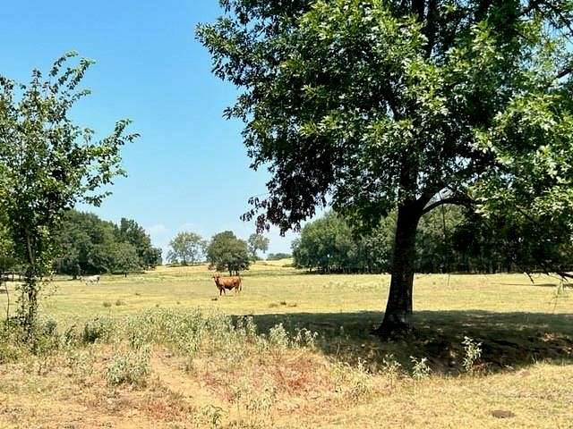 40 Acres of Recreational Land & Farm for Sale in Idabel, Oklahoma