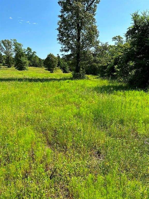 5 Acres of Residential Land for Sale in Winona, Texas