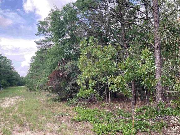 10.1 Acres of Land with Home for Sale in DeFuniak Springs, Florida