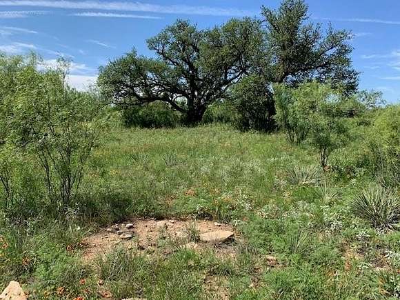 22.3 Acres of Recreational Land for Sale in Eden, Texas