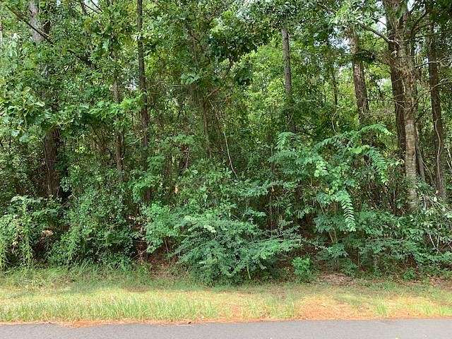0.4 Acres of Residential Land for Sale in Carriere, Mississippi