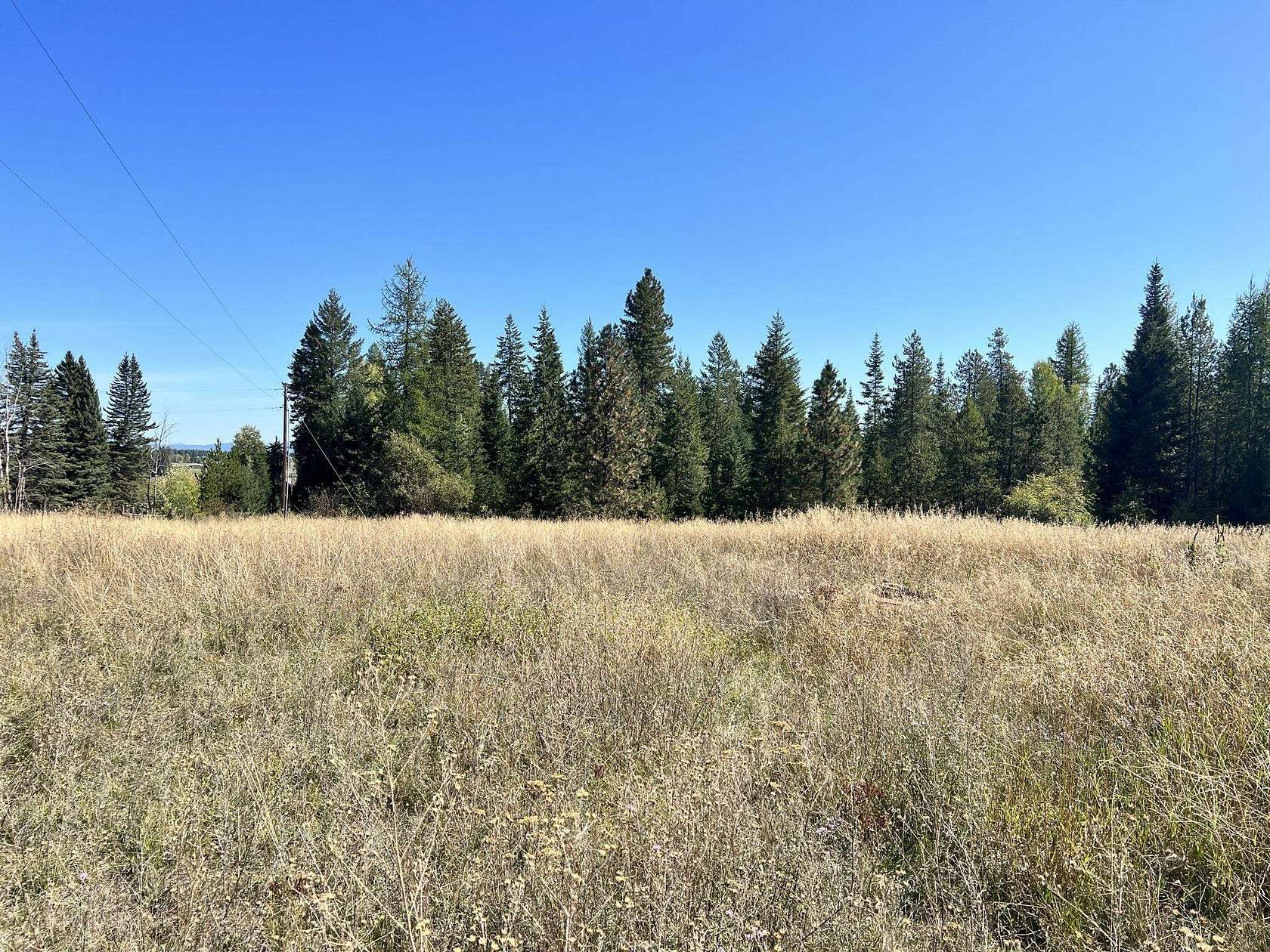 9.9 Acres of Agricultural Land for Sale in Deer Park, Washington