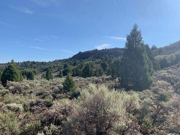 20 Acres of Land for Sale in Alton, Utah