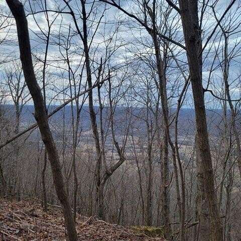 58.7 Acres of Land for Sale in Spring City, Tennessee