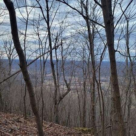 58.7 Acres of Land for Sale in Spring City, Tennessee