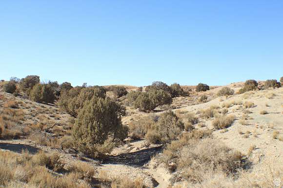 40.6 Acres of Recreational Land for Sale in Duchesne, Utah