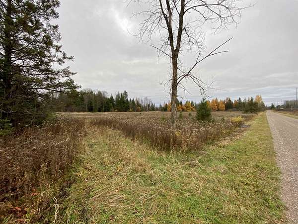 80 Acres of Land for Sale in Ogema, Wisconsin