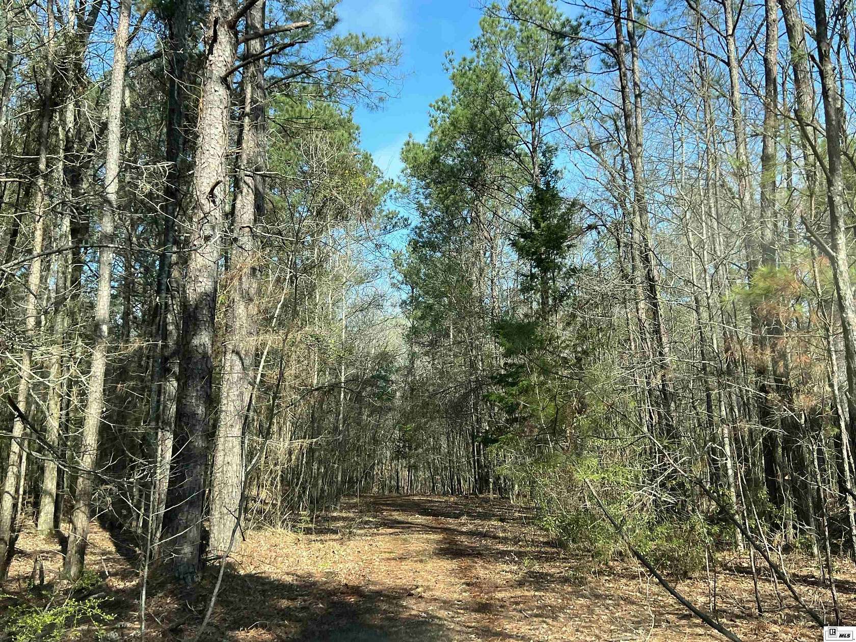 132 Acres of Land for Sale in West Monroe, Louisiana