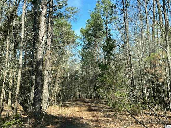132 Acres of Recreational Land for Sale in West Monroe, Louisiana