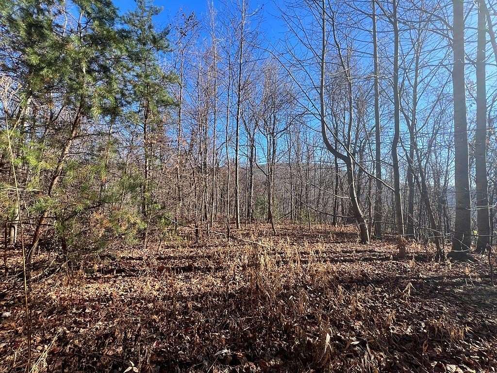 79 Acres of Land for Sale in Cana, Virginia