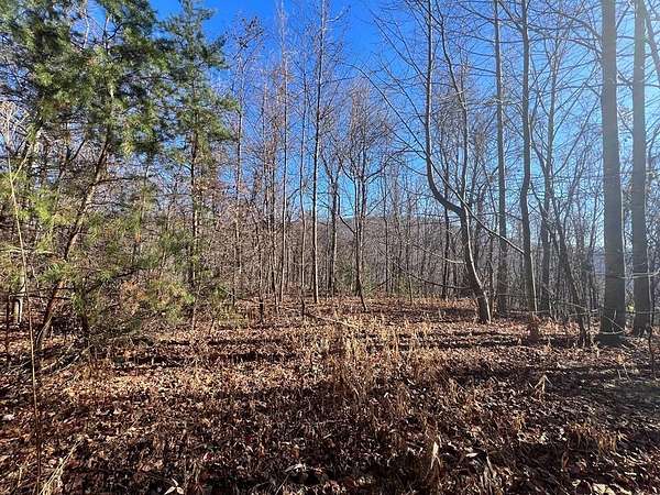 79 Acres of Land for Sale in Cana, Virginia