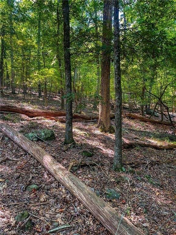 1.52 Acres of Residential Land for Sale in Denton, North Carolina